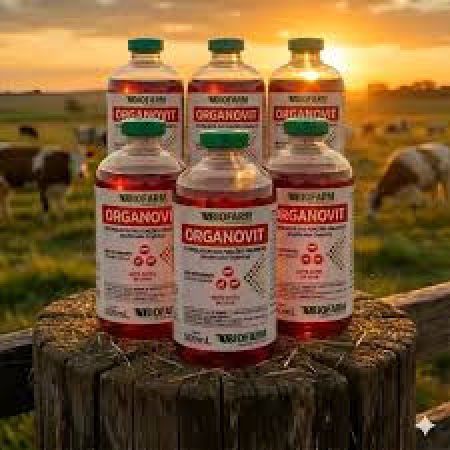 ORGANOVIT ESTIMULADOR DAD FUÇÕES ORGANICAS 500 ML INJETÁVEL