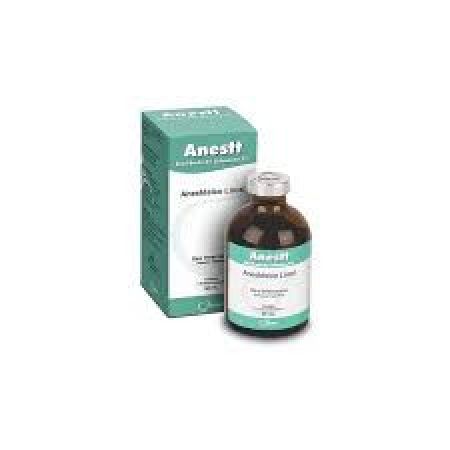 ANESTT ANESTÉSICO 50 ml INJETÁVEL