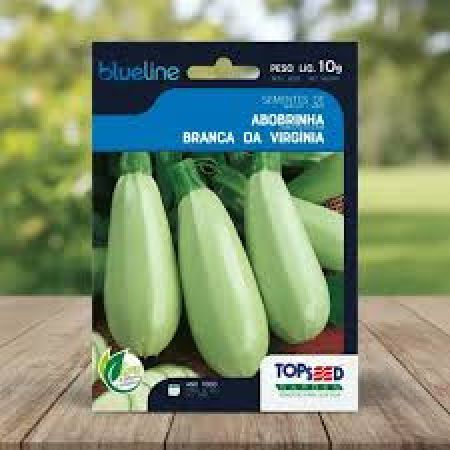 SEMENTE DE ABOBRINHA BRANCA DA VIRGÍNIA BLUELINE 10G