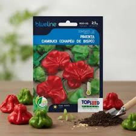 SEMENTE  PIMENTA CAMBUCI( CHAPÉU DE BISPO) 2,5g